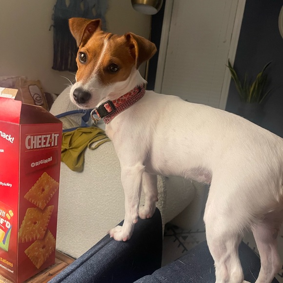 MEET THE SELLER!!! - Picture 2 of 15